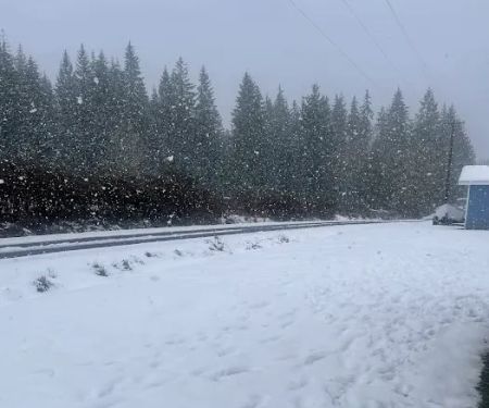 Eagle Creek Mobile Estates