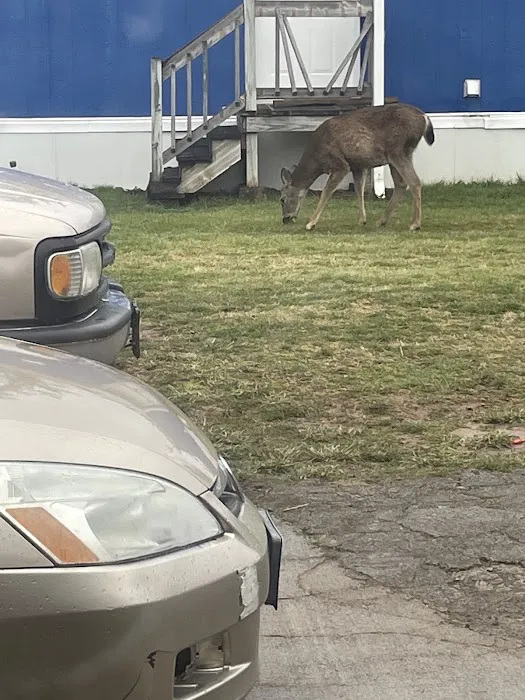 Eagle Creek Mobile Estates Picture 2