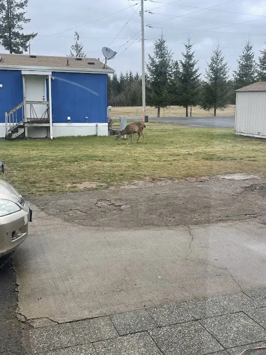 Eagle Creek Mobile Estates Picture 4