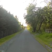 Royal Terrace Mobile Home Park ico