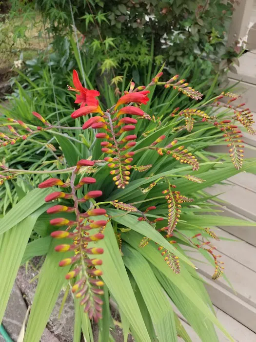 Johnson Mobile Estates Picture 1