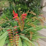 Johnson Mobile Estates