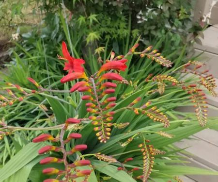 Johnson Mobile Estates