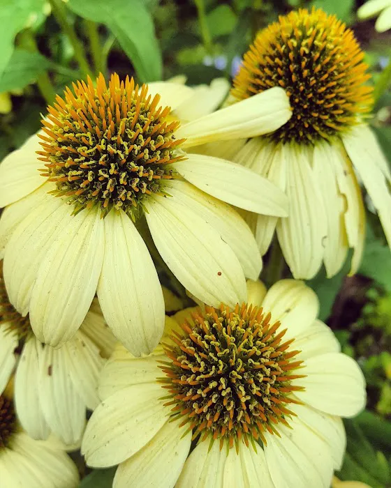 Johnson Mobile Estates Picture 5