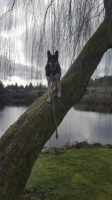 Johnson Mobile Estates Picture 7