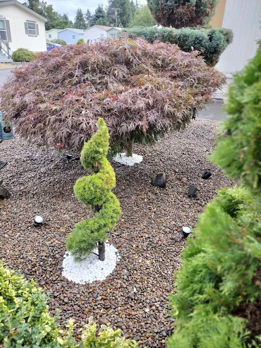 Johnson Mobile Estates Picture 10