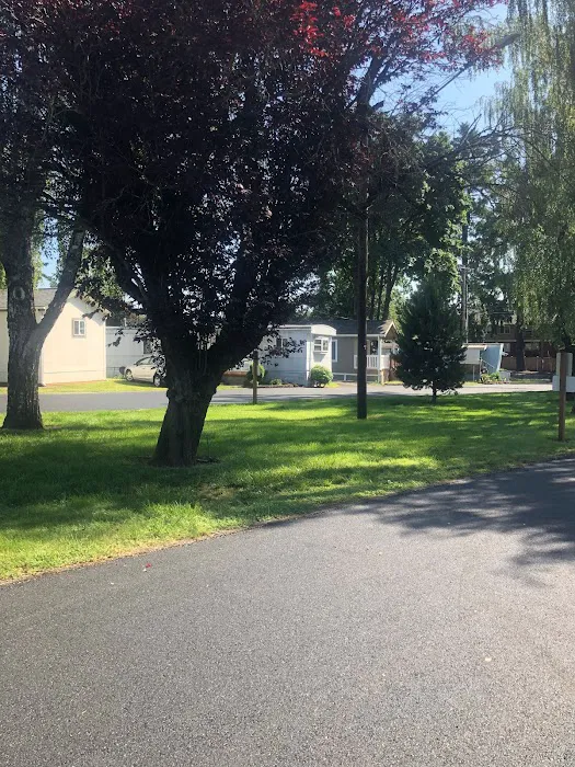 Frontier Urban Village Picture 4