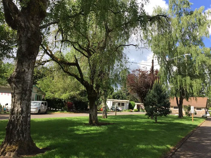 Frontier Urban Village Picture 7