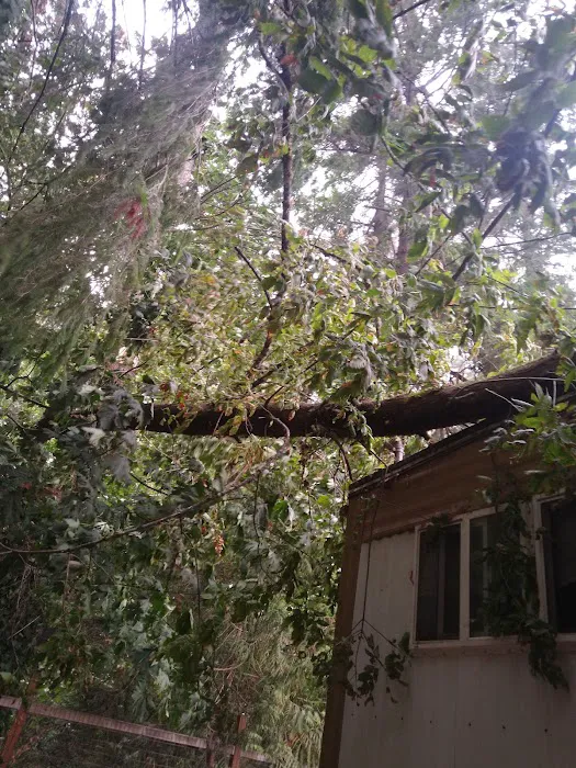 Gladstone Mobile Home Park Picture 1