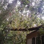 Gladstone Mobile Home Park