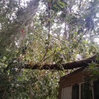 Gladstone Mobile Home Park ico