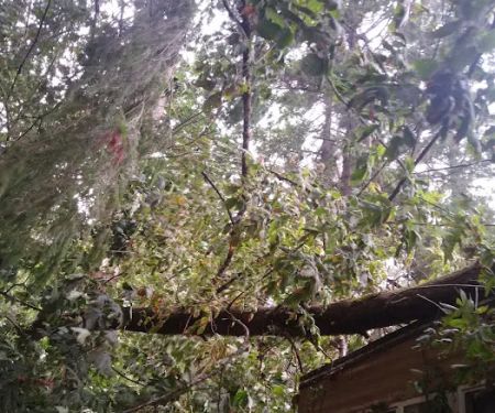 Gladstone Mobile Home Park