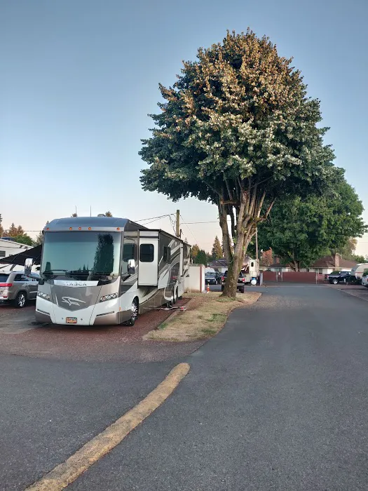 Ninety Nine RV Park Picture 2