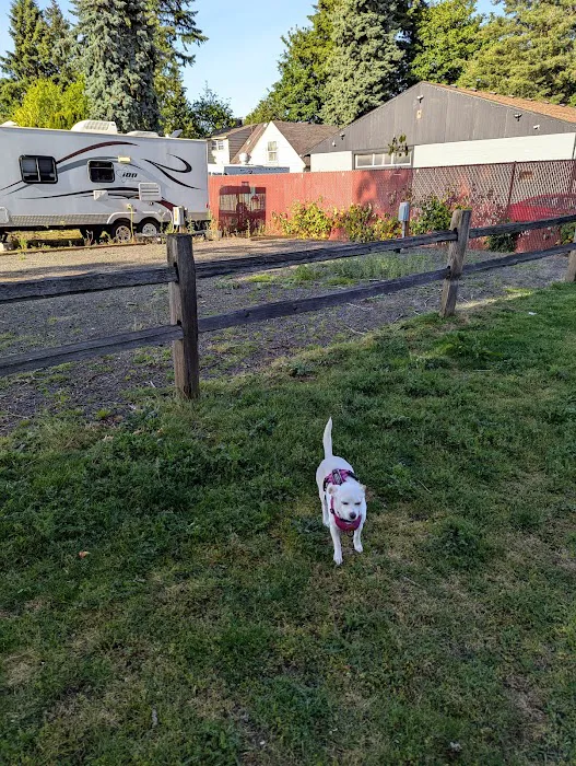 Ninety Nine RV Park Picture 6