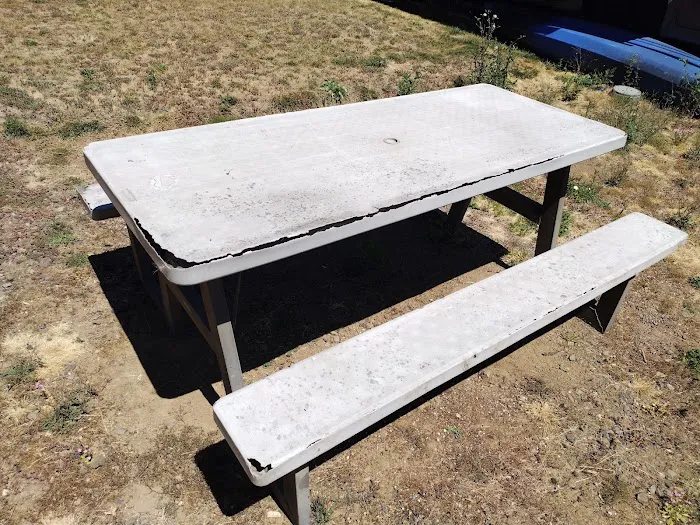 Ninety Nine RV Park Picture 8