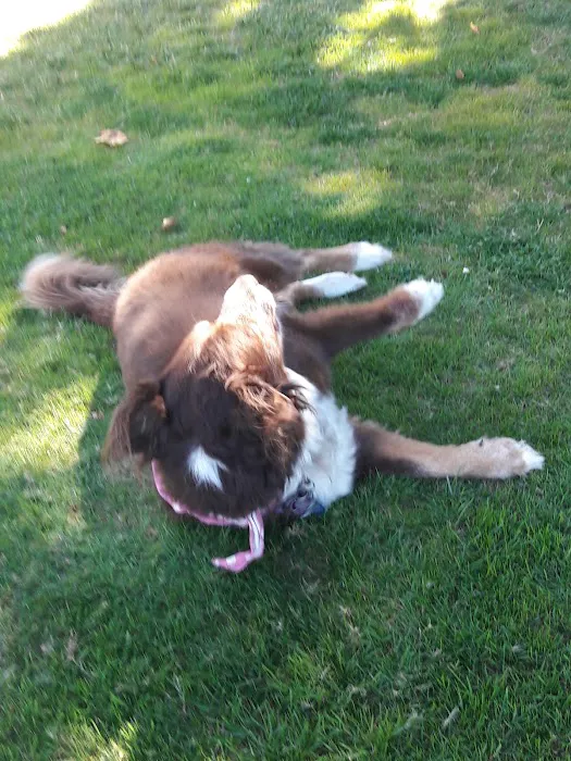 Colony Mobile Home Park Picture 1