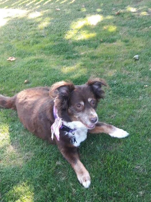 Colony Mobile Home Park Picture 5