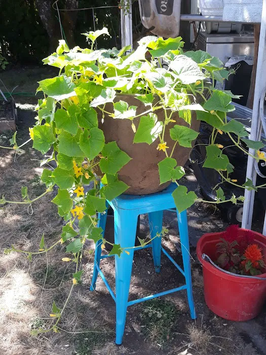 Mobile Retreat Picture 6