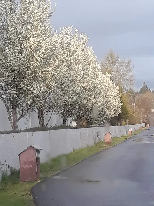 Mobile Retreat Picture 7