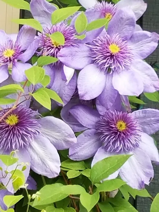 Mountain View Cooperative Picture 1