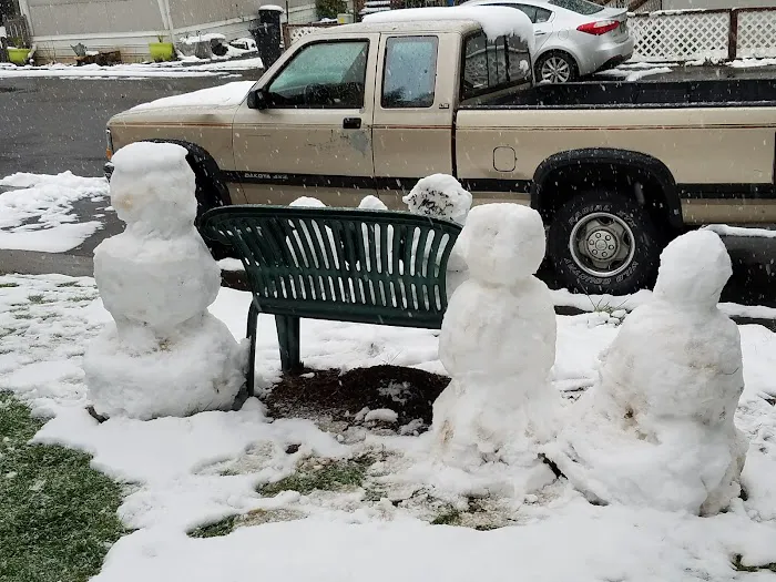 Mountain View Cooperative Picture 2