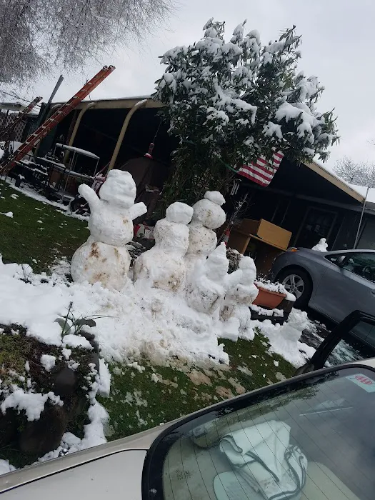 Mountain View Cooperative Picture 4