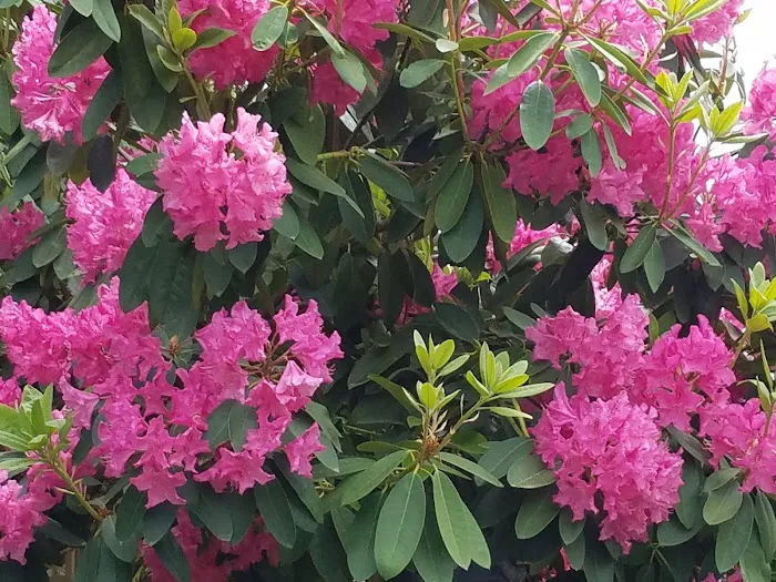 Mountain View Cooperative Picture 5