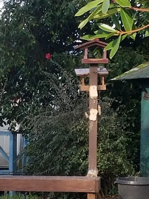 Mountain View Cooperative Picture 8