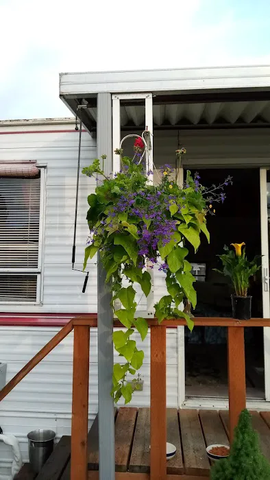 Altramar II Picture 1