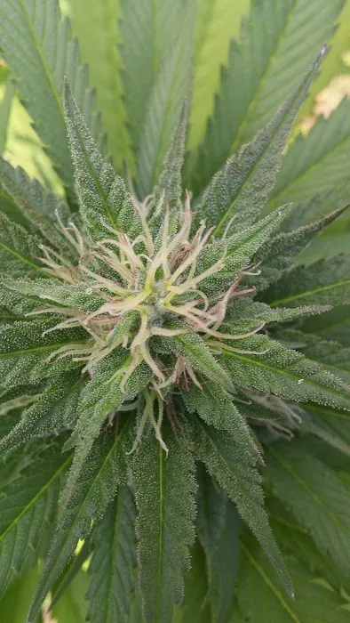 Estacada Mobile Village Picture 1