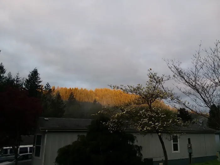 Estacada Mobile Village Picture 3