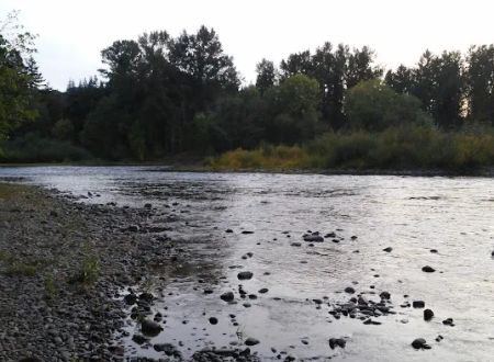 Riverview MHP, LLC