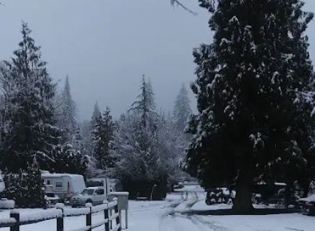 Ark RV Park