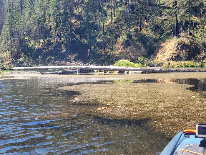 Clackamas River RV Park Picture 2