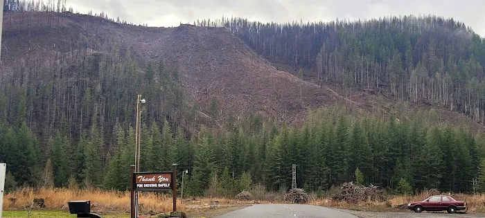 Clackamas River RV Park Picture 3