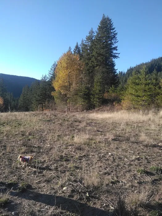 Clackamas River RV Park Picture 6