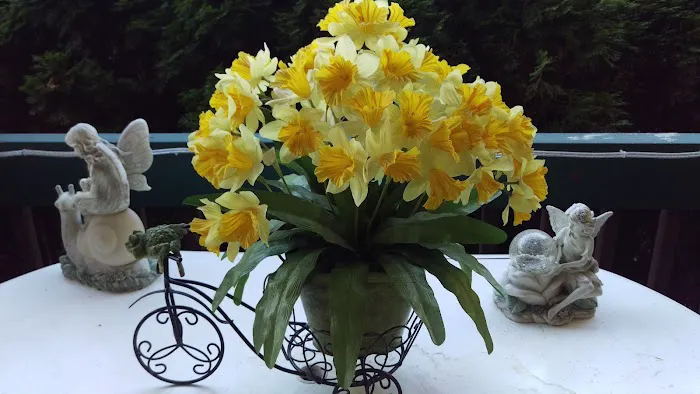 Indian Bluff Mobile Home Park Picture 2