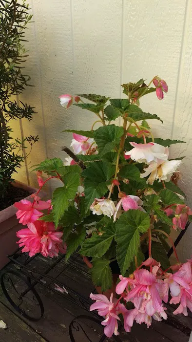 Indian Bluff Mobile Home Park Picture 6