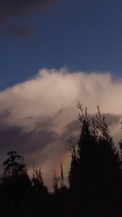 Indian Bluff Mobile Home Park Picture 5