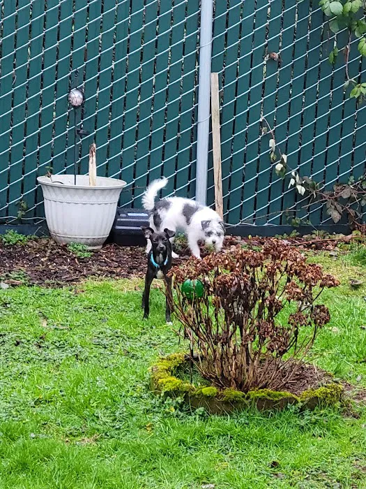 Indian Bluff Mobile Home Park Picture 10