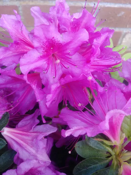 Indian Bluff Mobile Home Park Picture 9