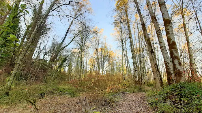 Clackamas River Community Cooperative (CRCC) Picture 3