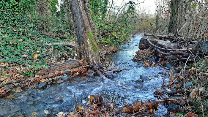 Clackamas River Community Cooperative (CRCC) Picture 6