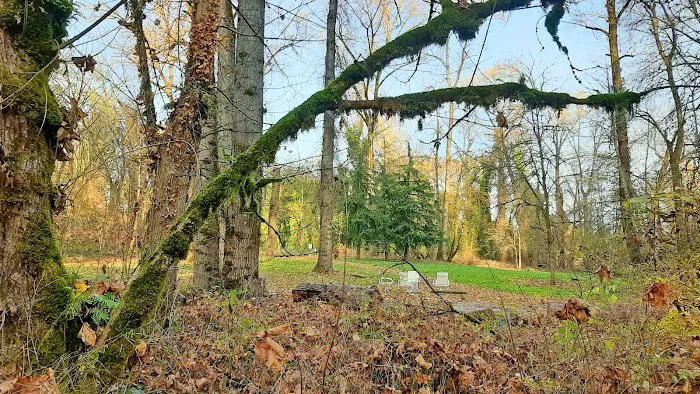 Clackamas River Community Cooperative (CRCC) Picture 7