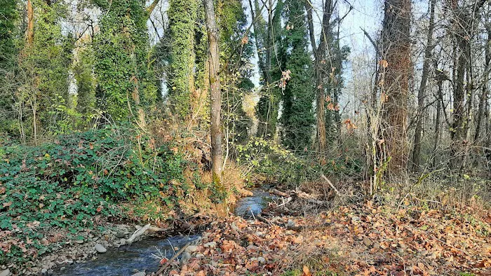 Clackamas River Community Cooperative (CRCC) Picture 8