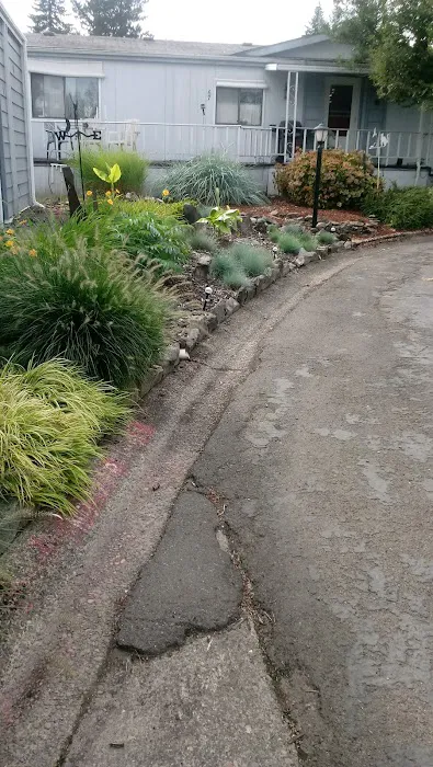 Shadowbrook Picture 4