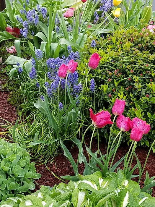 Shadowbrook Picture 5