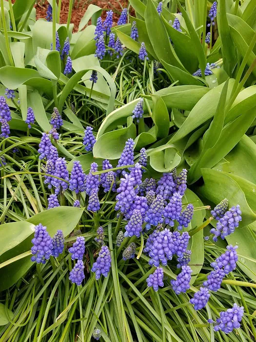 Shadowbrook Picture 6