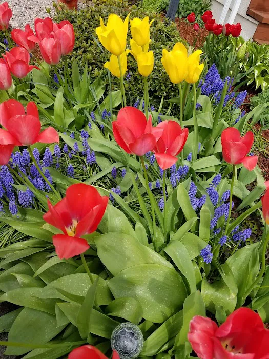 Shadowbrook Picture 7