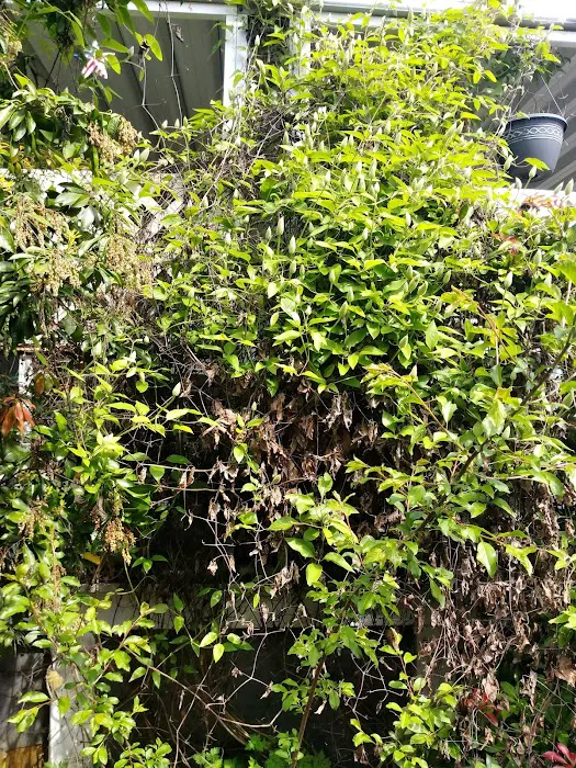 Shadowbrook Picture 9